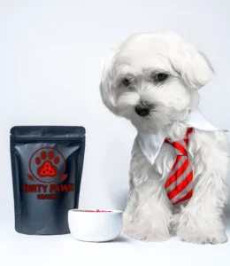 A white Maltese dog wearing a red striped tie posing with a black Dirty Paws Kratom bag of Red Bali.