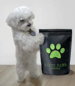 a white maltese dog standing on both legs next to a black bag with a logo that says dirty paws kratom–super green malay.