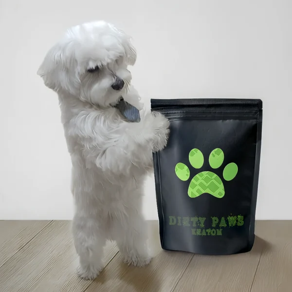 a white maltese dog standing on both legs next to a black bag with a logo that says dirty paws kratom–super green malay.