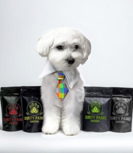 Nicky the dog shows off his botanical legacy