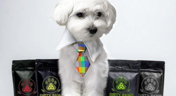 Nicky the dog shows off his botanical legacy